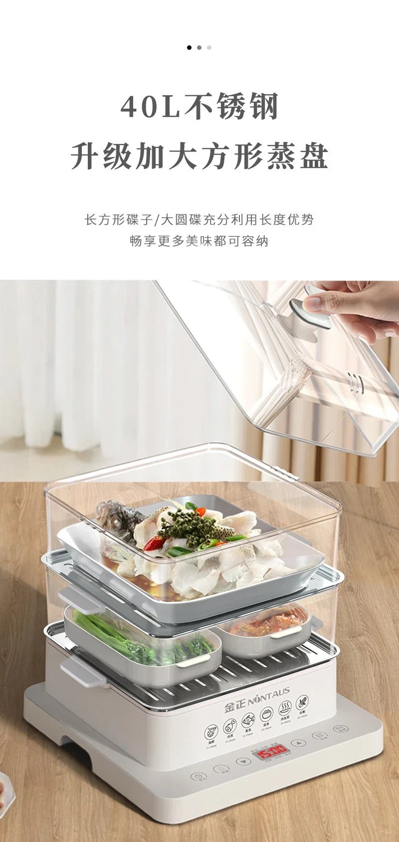 110V/220V Electric Steamer Household Multifunctional Large Capacity Auto 3 Layer Steam Pot