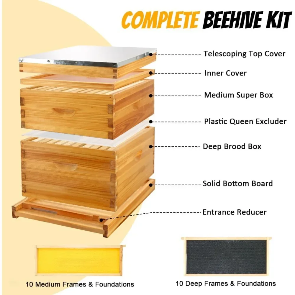 

10-Frame Beehive Starter Kit – Complete Bee Hive Set with 1 Deep Brood Box & 1 Medium Super, Beeswax-Coated, Includes Frames &