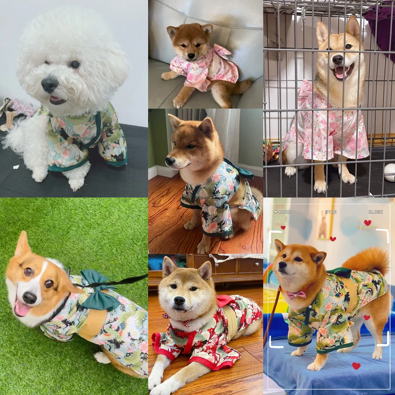 Imagem -05 - Japonês Quimono para Roupas de Cão Shiba Inu Cabolsa Camisa do Cão Natal Páscoa para Animal Estimação Férias Cosplay Traje Husky Alaska Conjuntos de Cães