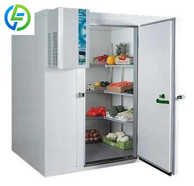 Customized Commercial Grade High End Cold Room Walk In Blast Freezer for Meat Fish Vegetable Fruits Freezing