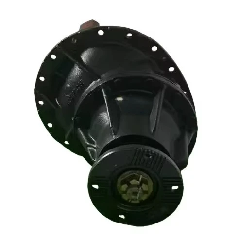 Differential Assembly for the Front Drive Axle of Shaanxi Automobile Delong