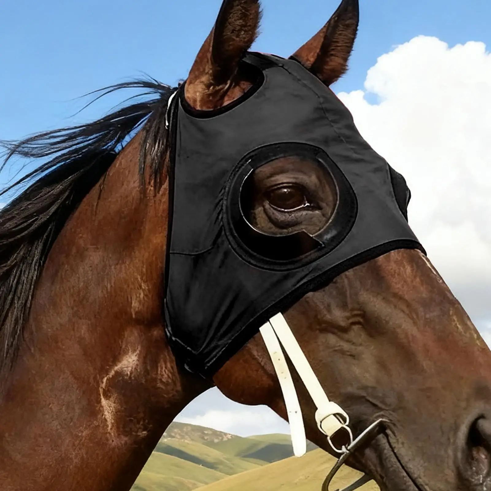 Competition Horse Blinkers, Adjustable Breathable Mesh Design for Eye Protection, Focus & Speed in Racing & Equestrian Events
