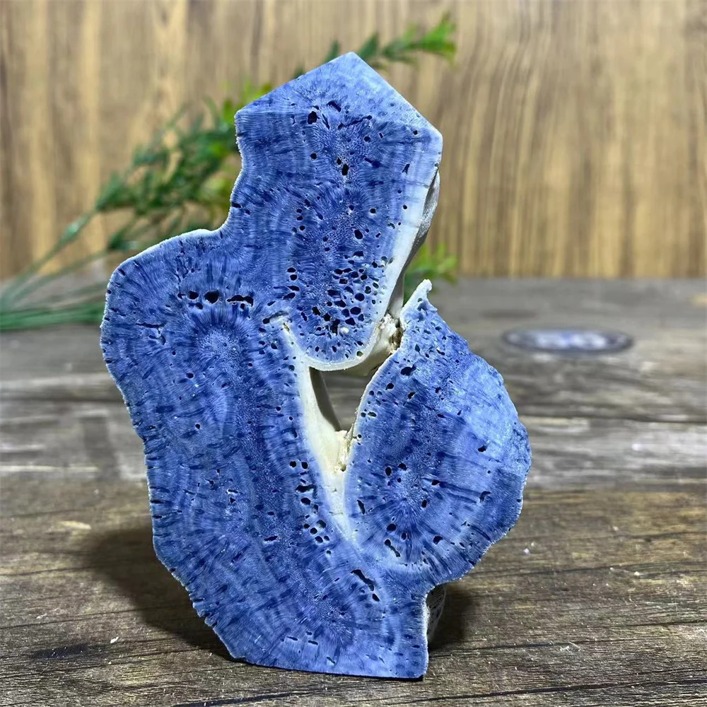 Natural Blue Ocean Coral Specimen Stone Specimen Quartz Raw Tower Healing Energy Reiki Home Decoration Gemstones