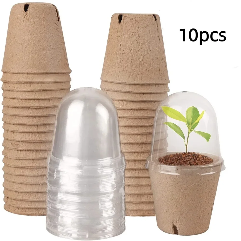 10pcs Transparent Lid Round Peat Pots Eco-friendly Biodegradable Nursery Pots Planting Tools Fibre Paper Seedling Starters Cups