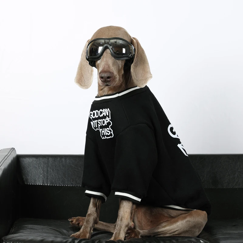 

Spring Outside Big Dog Sport Suit with Sunggalss Golden Retriever Labrador Outfits Fashion Costume for Medium Large Dogs