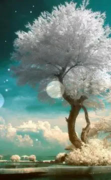 

Metal 1.9 Beadlock Wheel Rim Hub for 1/10 Hsp Redcat Rc4wd WRAITH Tamiya Axial SCX10 D90 HPI RC Car Spare Part