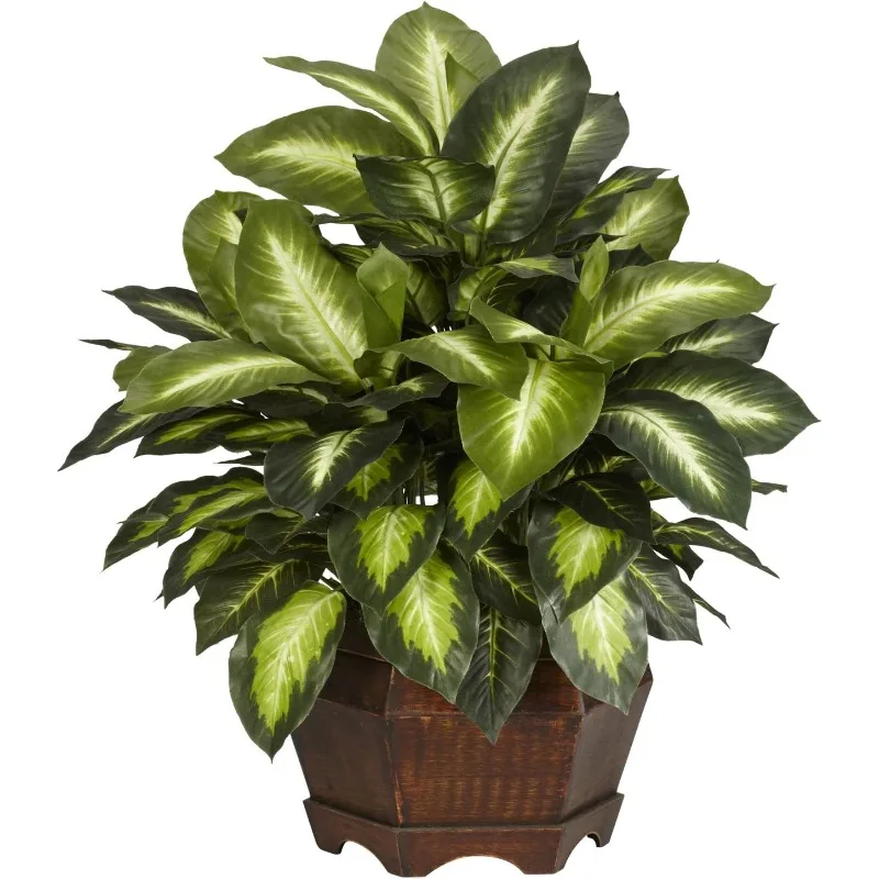 

6639 24in. Golden Dieffenbachia Silk Plant, Green