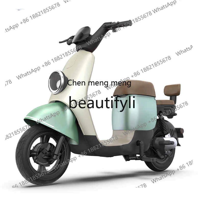 

Electric vehicle 48v24ah lithium battery, small battery car long battery life BX