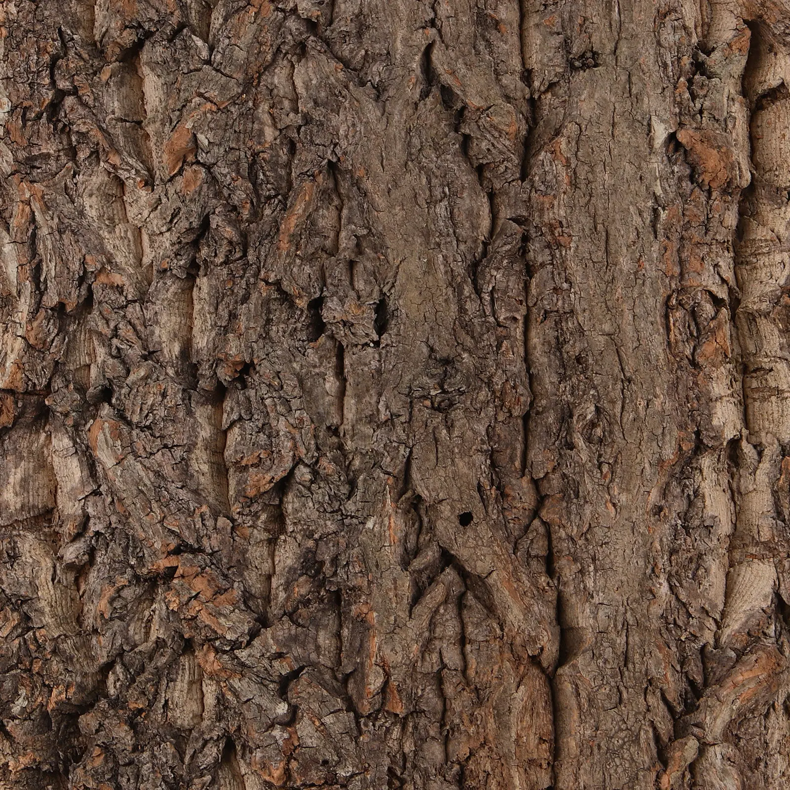 

Декоративная доска из натуральной коры для террариума: водонепроницаемый, устойчивый материал, не требующий особого ухода, имитация древесной коры для рептилий