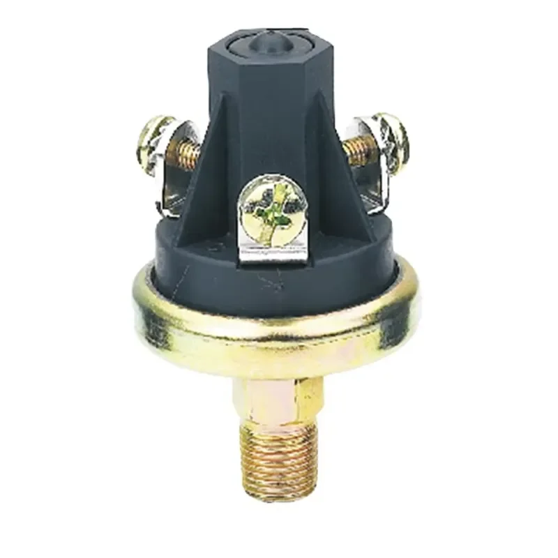 Diaphragm Type Pressure Control Switch Brass Thread Port Two Terminal Switch for Water Pump Heater System