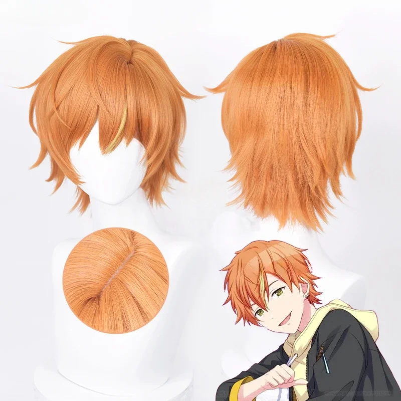 High Quality Anime Aoyagi Toya Shinonome Akito Cosplay Wig Heat Resistant Hair Halloween Men Anime Wigs image 5