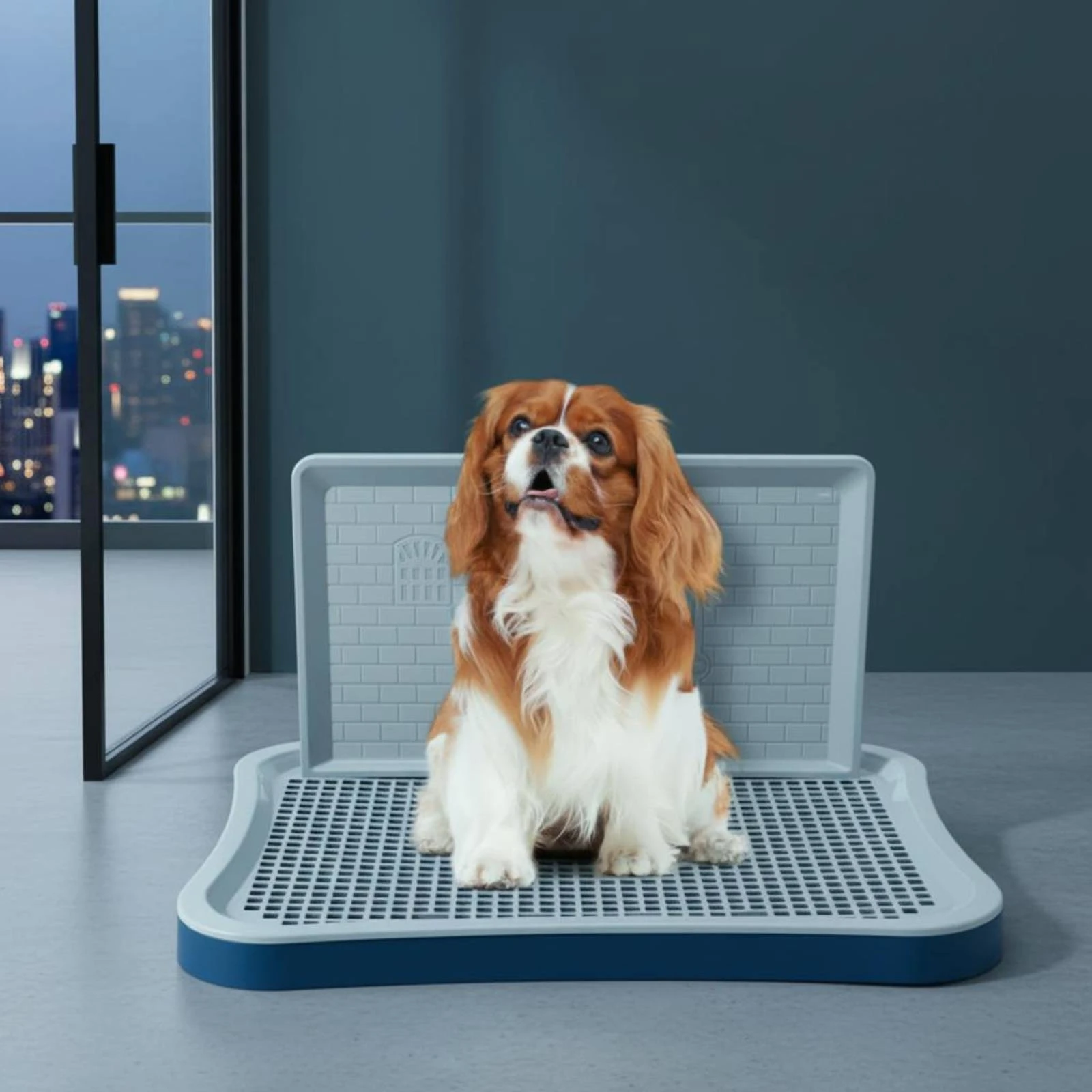 Mesh Dog Toilet Tray Non-Slip Grid Dog Potty Box with Wall Mesh Training Toilet Removable Grate Pee Pad Holder Easy to Clean