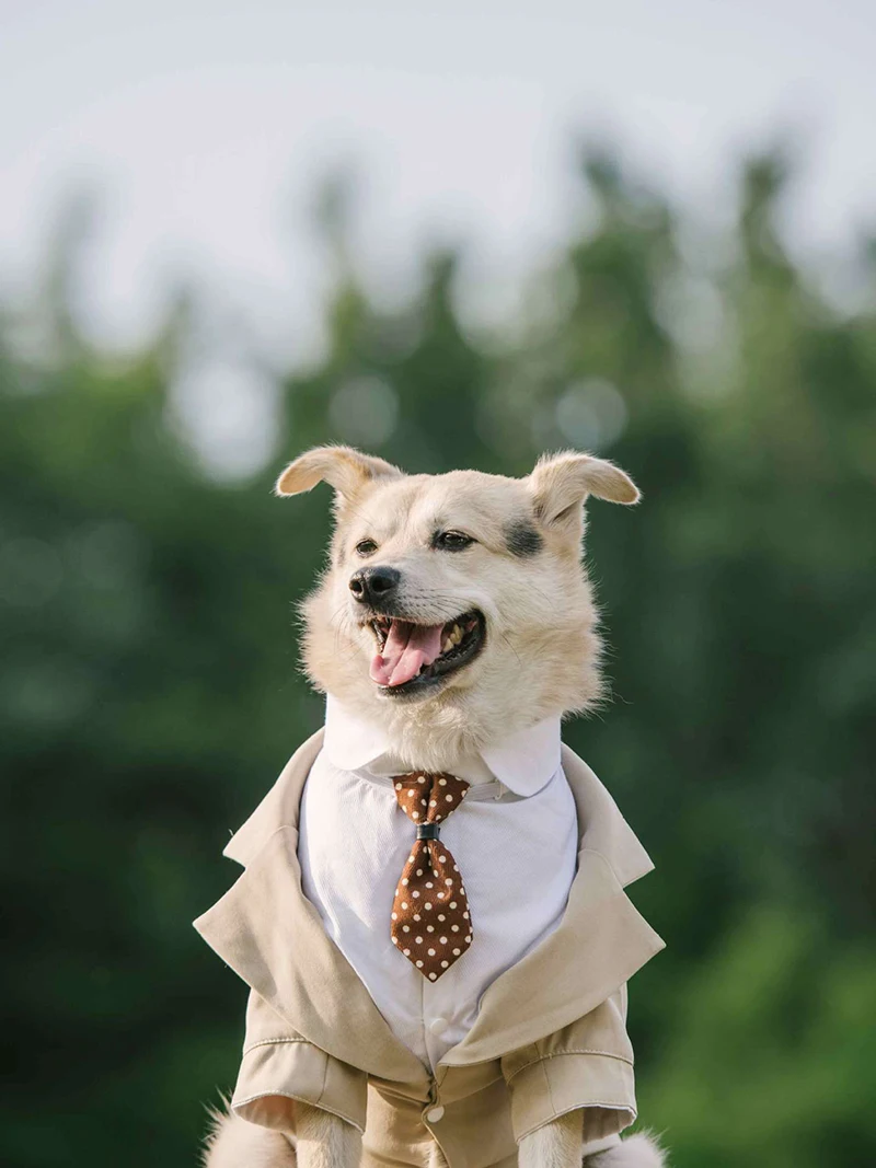 Pet Suit Dog Dress Tuxedo Wedding Clothing Pet Costume Dress Dog Tie Suit Kostium Dla Psa Traje Perro Ropa De Perros Mascotas