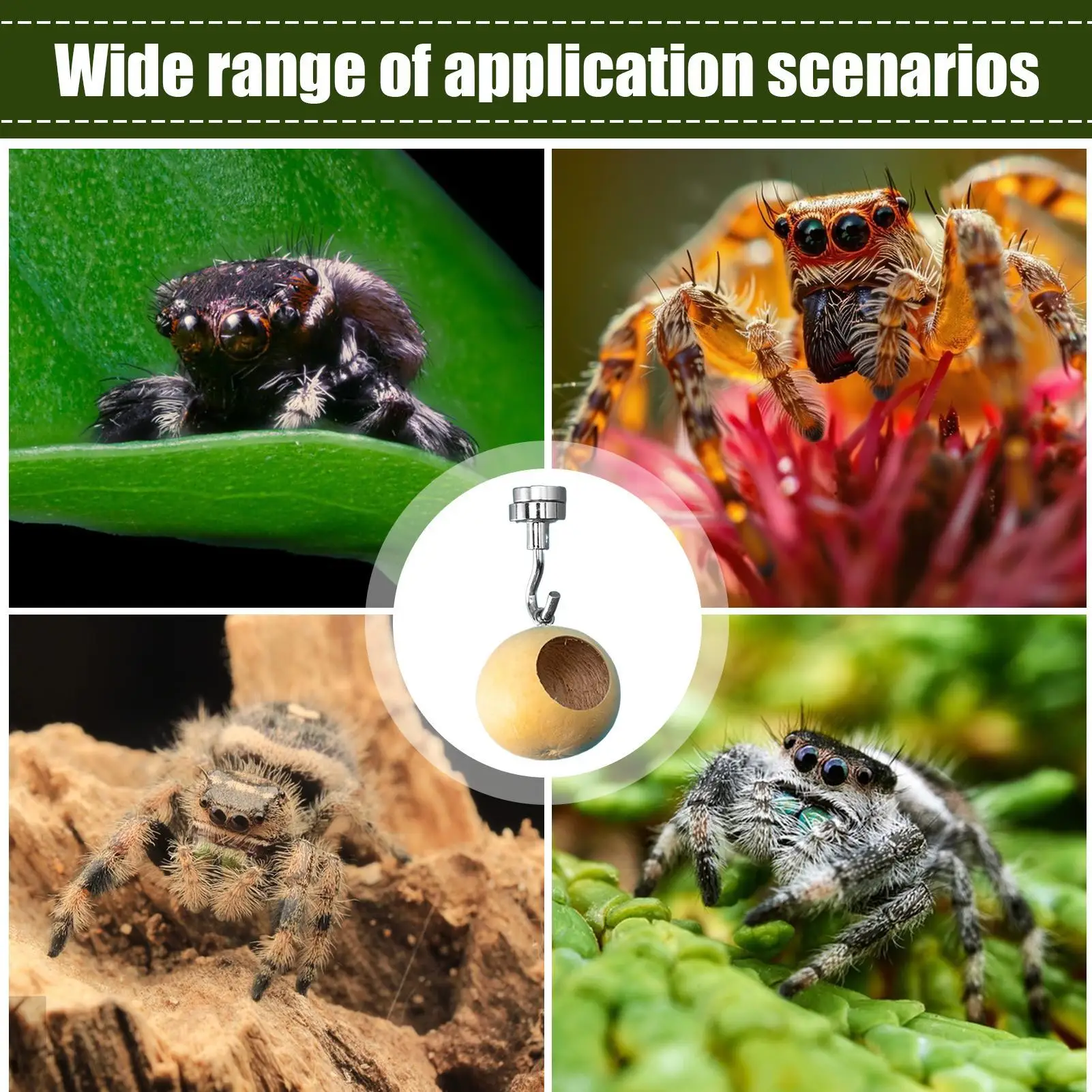 

Jumping Spider Enclosure Natural Gourd Jumping Spider Enclosure Spider Hiding Nest Jumping Spider House Hideout Accessories