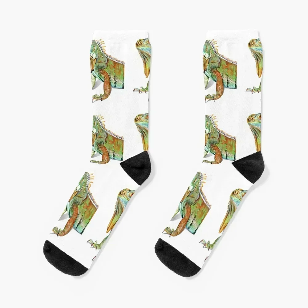 

Iguana Portrait Socks with print Climbing new in's golf Socks Female Men's