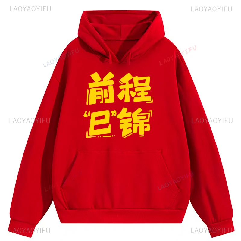 Year of The Snake 2025 Pullover Chinese Characters Best Wish Splendid Prospects Woman Man Hoodies Drop Shoulder Gift Long Sleeve