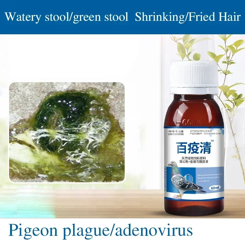 Green Water Stools, Pigeon Medicine, Newcastle Disease, Bursitis, Pigeon Supplies, Racing Pigeons, Parrots, Bird Supplies