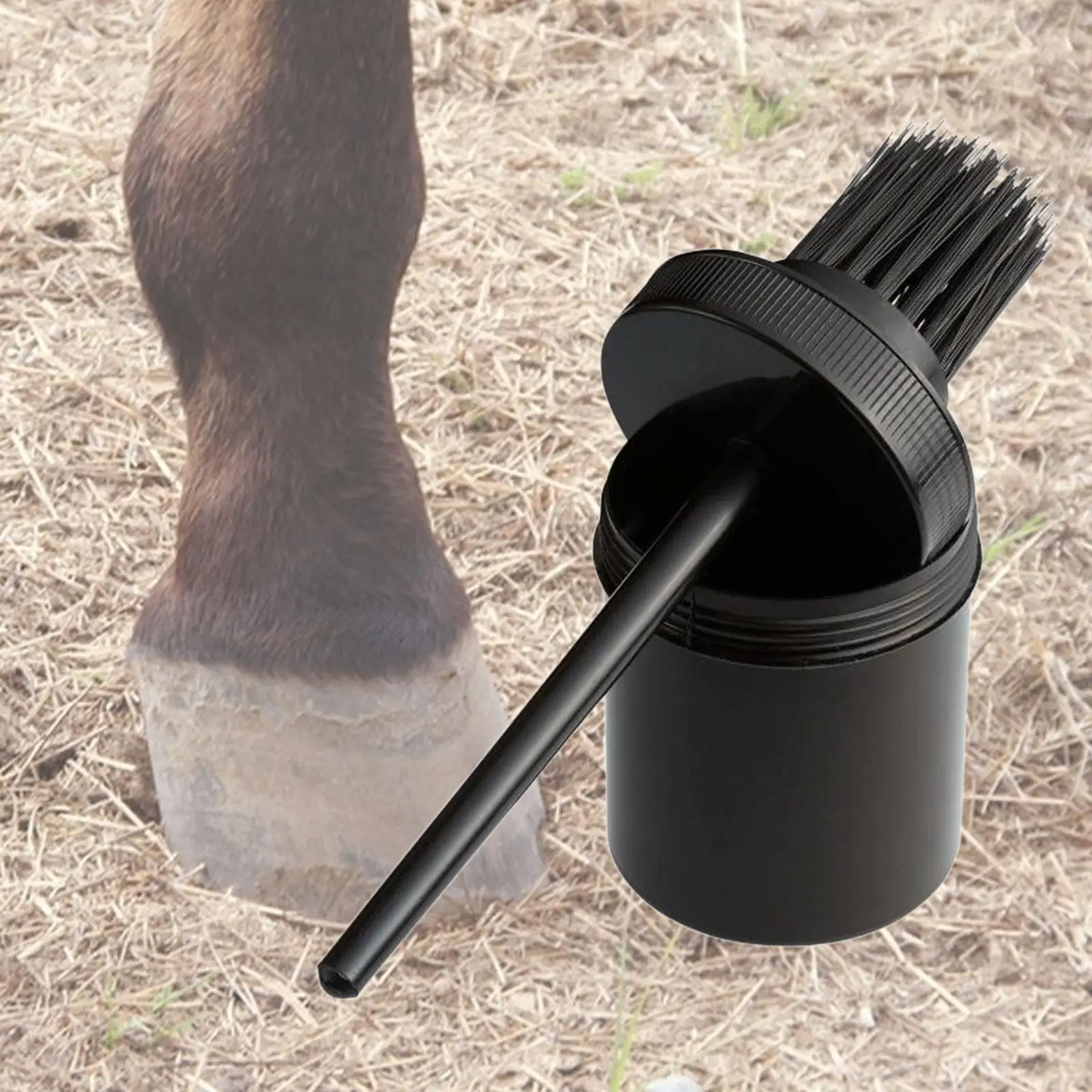 

Hoof Grease Brush Sturdy Equestrian Supplies for Horses Pigs Care Supplies