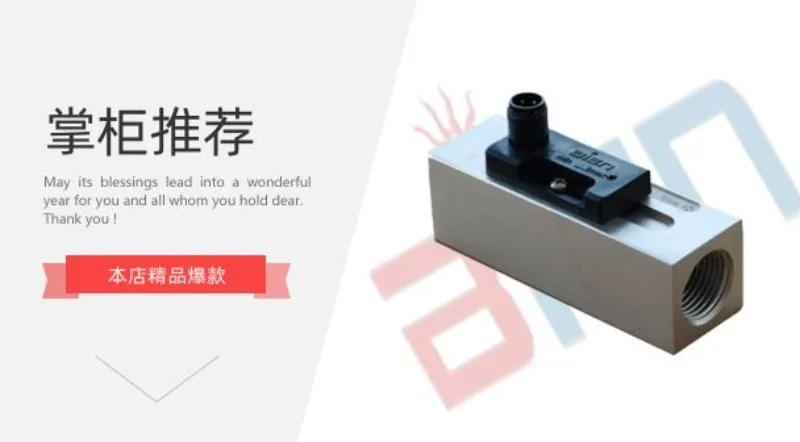 FA01 piston flow switch FP10N series water flow switch G008 threaded installation project