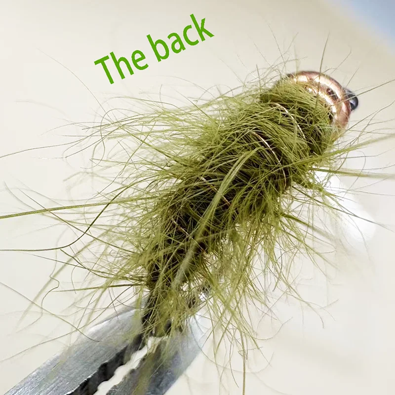 ชุดเหยื่อตกปลาแบบเปียก 5 ชิ้น  - Fishing Hook Barbless บทวิจารณ์และราคา