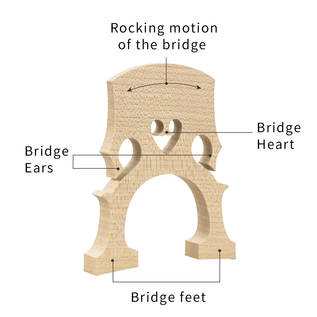 4/4 3/4 1/2 1/4 1/8 Cello Bridge Elementary Maple Wood    s Acoustic  Student Electric s