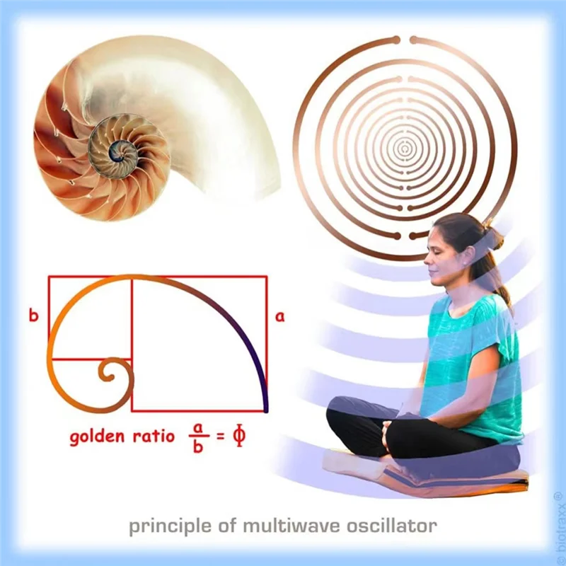 

【Livraison Rapide】Optical Disk Polarization Energy Disk Multi-Wave Oscillator 10Cm/3.94Inch MWO Antenna Ornaments