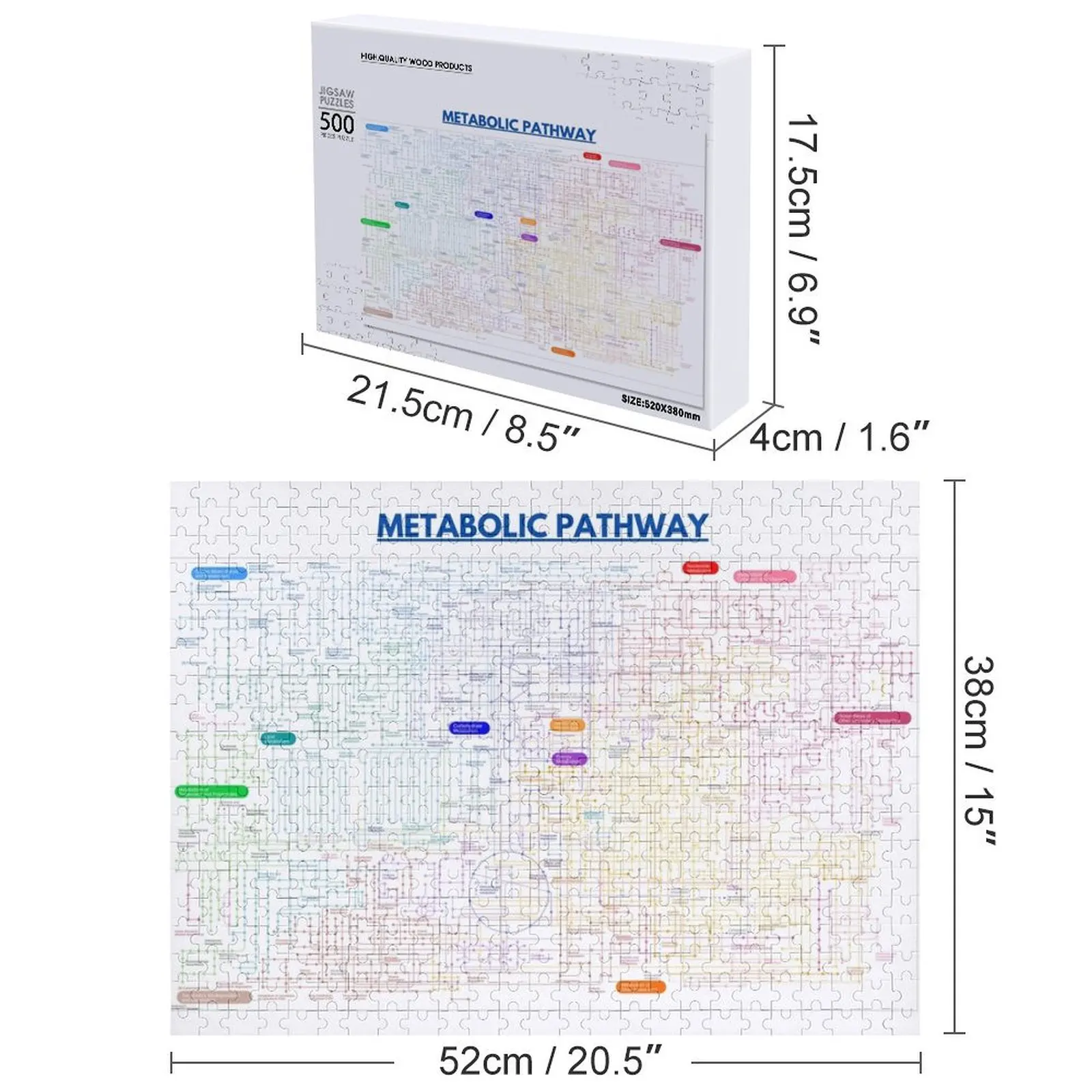 Mappa del percorso metabolico Jigsaw Puzzle Personalizza Personalizza Puzzle per bambini