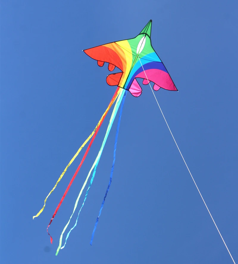 free shipping rainbow plane kites for children kites flying fighter kite line outdoor kites toys kite surfing professional kites