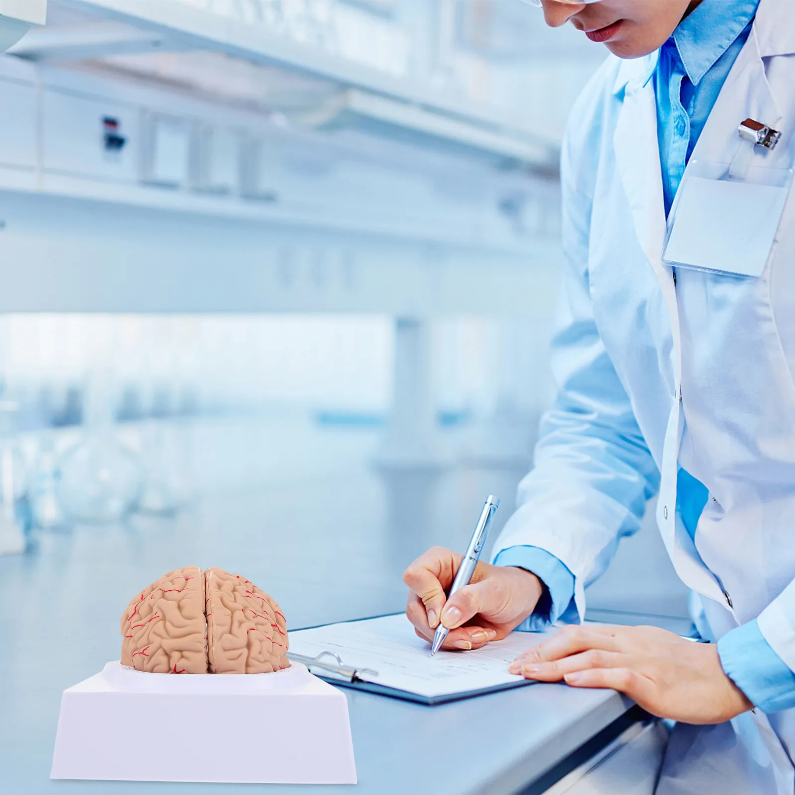 

Анатомическая модель мозга человека (1 шт.) для обучения, демонстрации сосудов и изучения анатомии, для больниц и научных учреждений