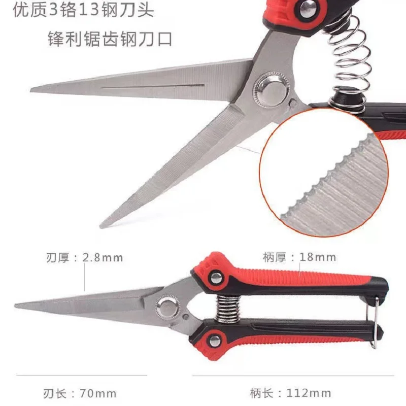 Professional stainless steel orchard fruit picking pruning shears grape thin fruit scissors pruning fruit branch branch scissors