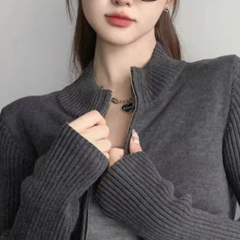 Zipper Cardigans for Women Slim Korean Style Ins Streetwear Spring Autumn Casual College Stand Collar Young Simple Warm Clothing