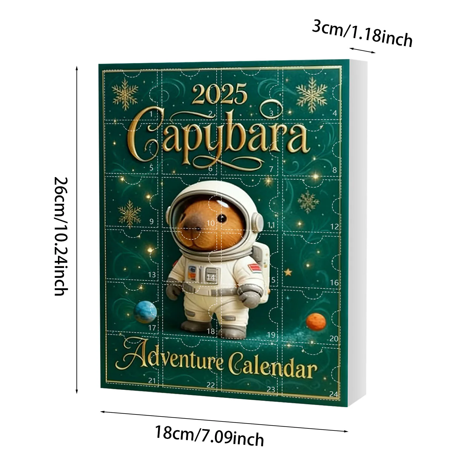 Luci a batteria con timer per ghirlande Calendario dell'Avvento Anatomia Luci natalizie per interni Funziona a batteria con timer