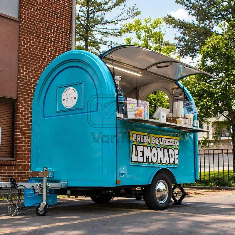 Enclosed Food Trailer Custom Mobile Kitchen Trailer Fast Food Concession Trailer for Burger Coffee Ice Cream