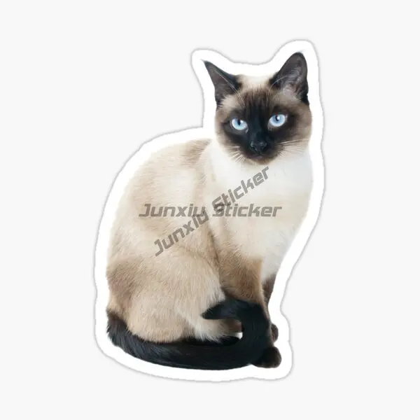 Cute Siamese Cat Pets Creative PVC Waterproof Sticker Decorate for Fridge Table Door Wall Car Van Bicycle Window Bumper Decal