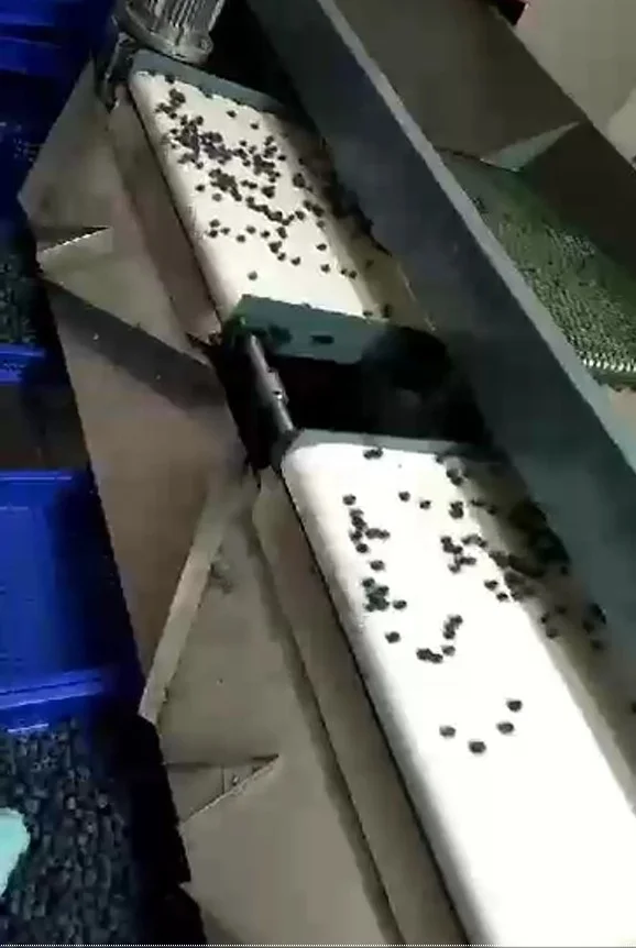 Factory Price Automatic Fruit Blueberry Sorting  Potato Tomato Orange Avocado Onion Grading Washing Size Weighing Machine