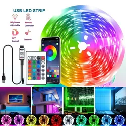 Tira de luces LED RGB para decoración de dormitorio, 1-30M, DC5V, USB, Tpae, Bluetooth/WiFi, Control por aplicación, SMD 5050, TV, retroiluminación LED para fiesta