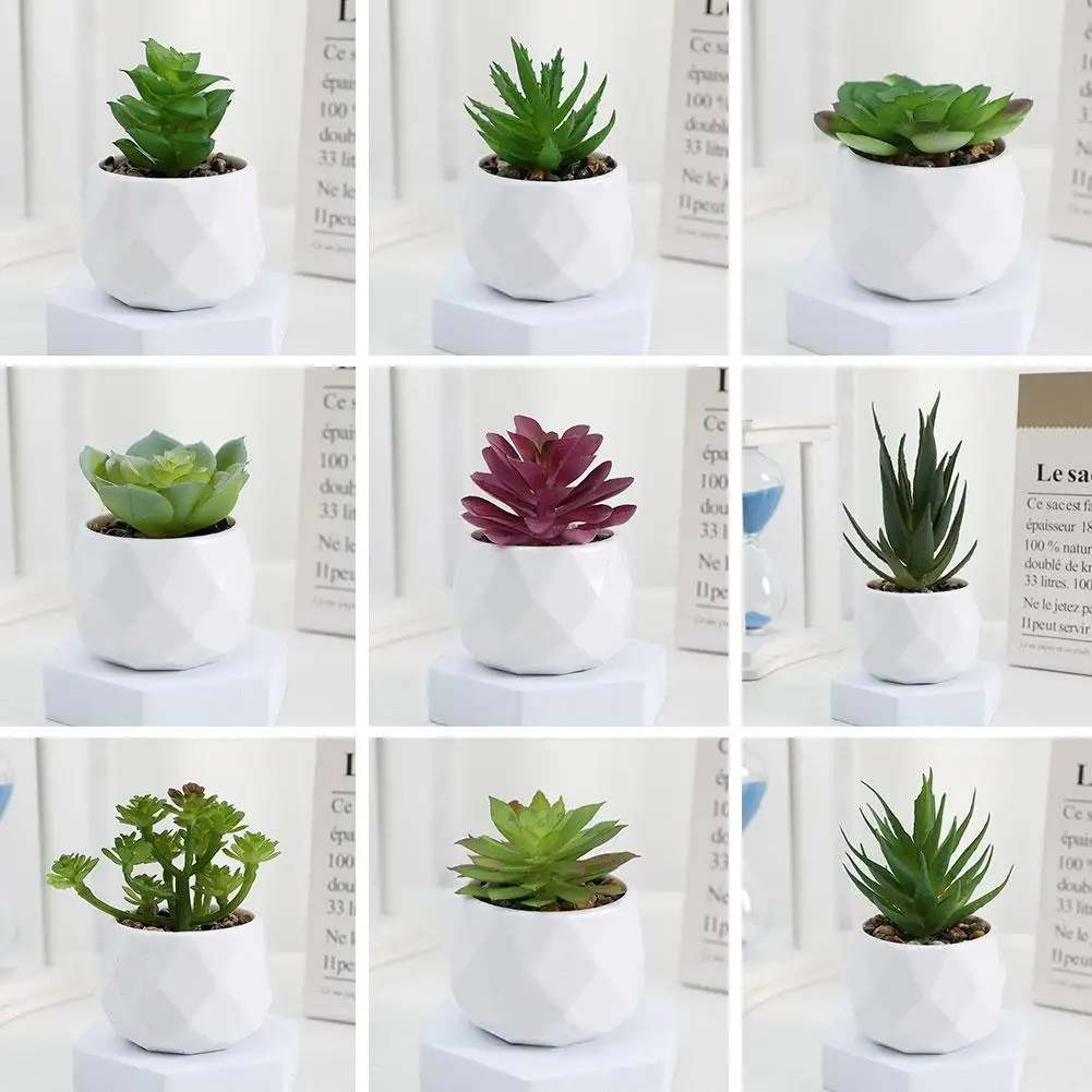 Simulation Ucculent Bonsai Plants Artificial Succulent Home Ornaments Small Decoration Potted N5b9
