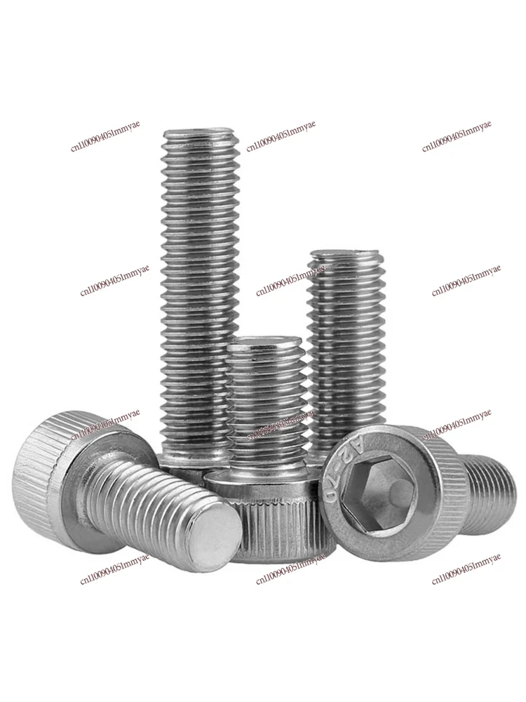 

304 Stainless Steel Hexagon Screw Cylinder Head Cup Head Bolt Extended Screw Screw M2M3M4M5M24