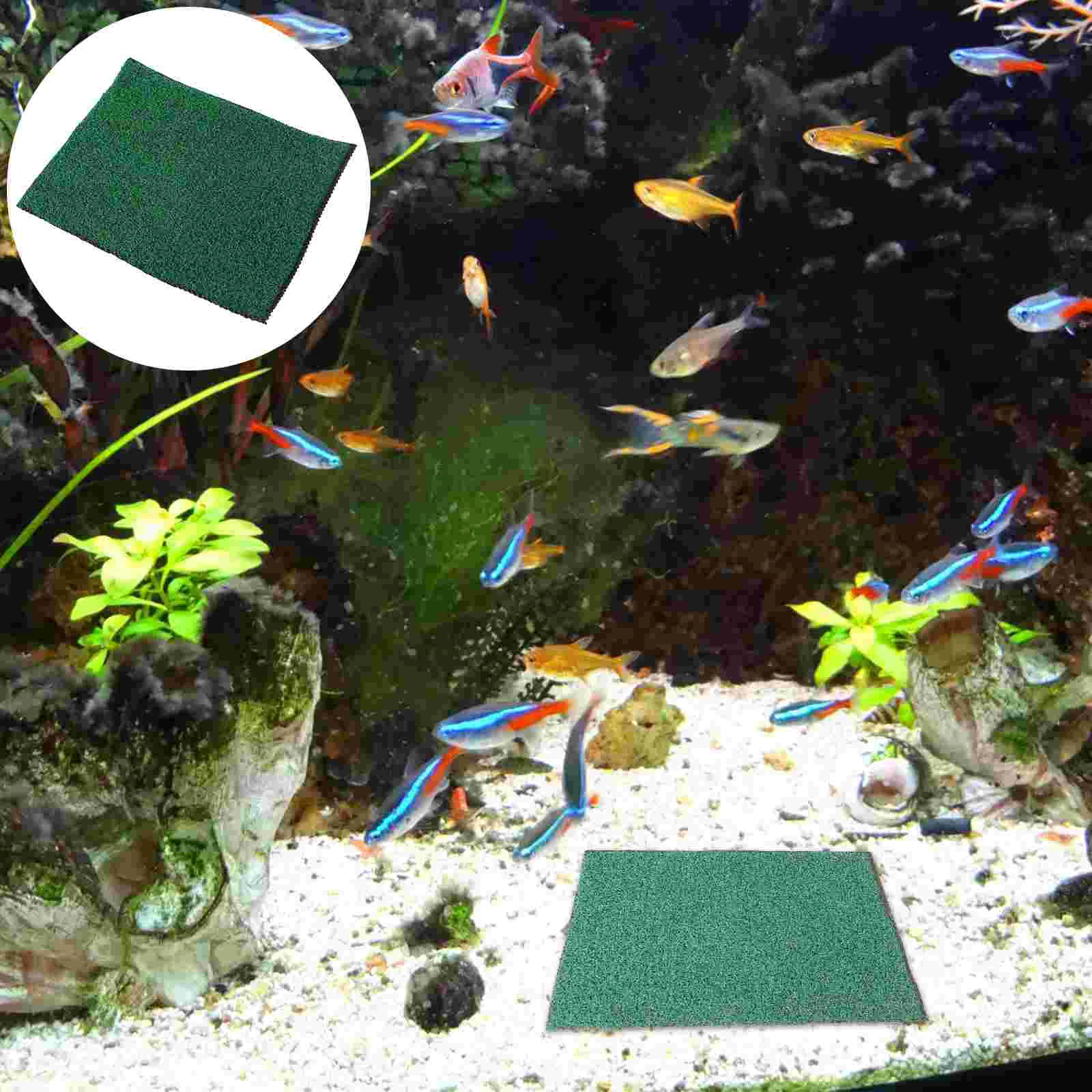 

Turtle Terrace Mat Substrate for Aquariums Grass Ground Miniatures Outdoor Unicorns Animals Planters Plants Artificial Decorate