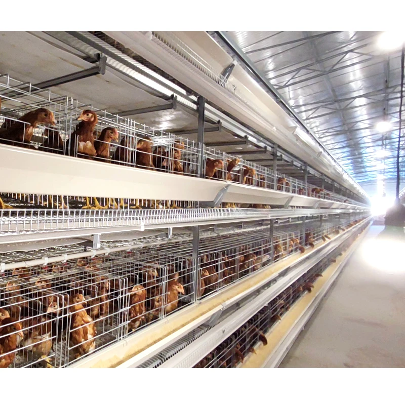 

Automatic Poultry Battery Cage System Layer Chicken Farming