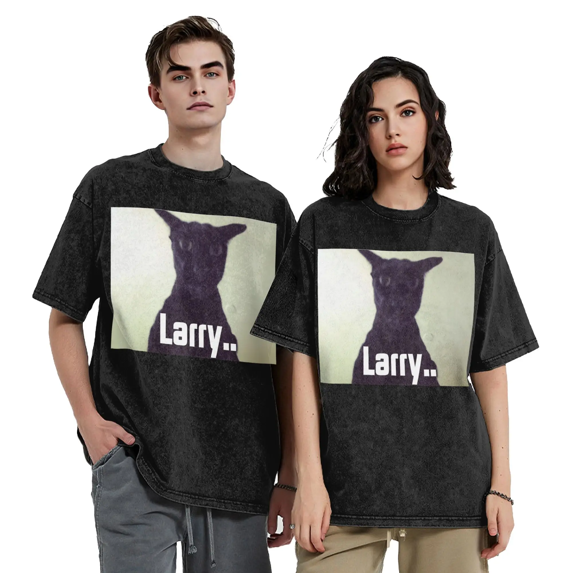 Washed T Shirt Evil Larry Meme Larry Cat Meme Hip Hop Vintage T-Shirts Harajuku Streetwear Printed Tops Tee Shirt for Men Women