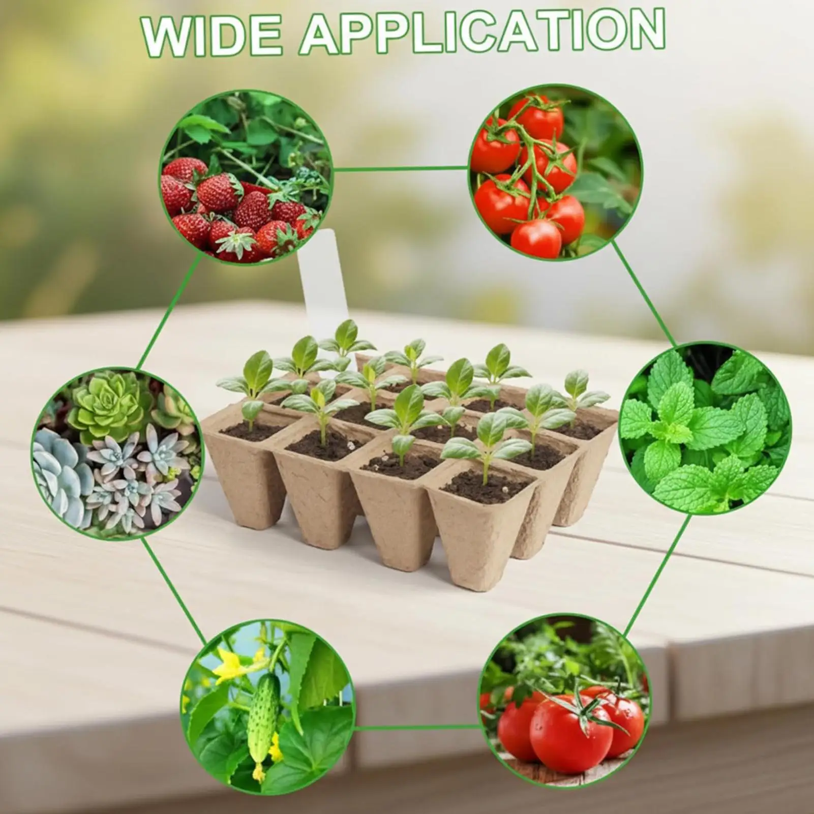 Seedling Tray 24 Pieces Organic Square Starter With 24 Labels Seedling Starting Trays For Windowsill Indoor House Vegetable