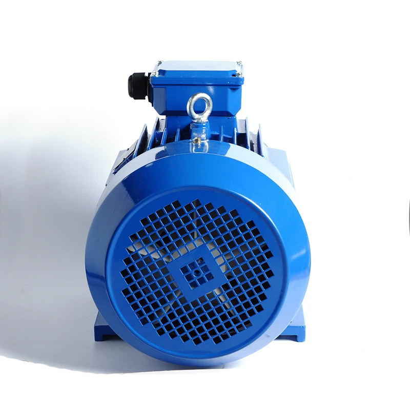

HotAc Induction Electric Motor 3phase Supplier 18.5kw 22kw 30kw 45kw 55kw 75kw 160kw 200kw 2800rpm 220V 380V