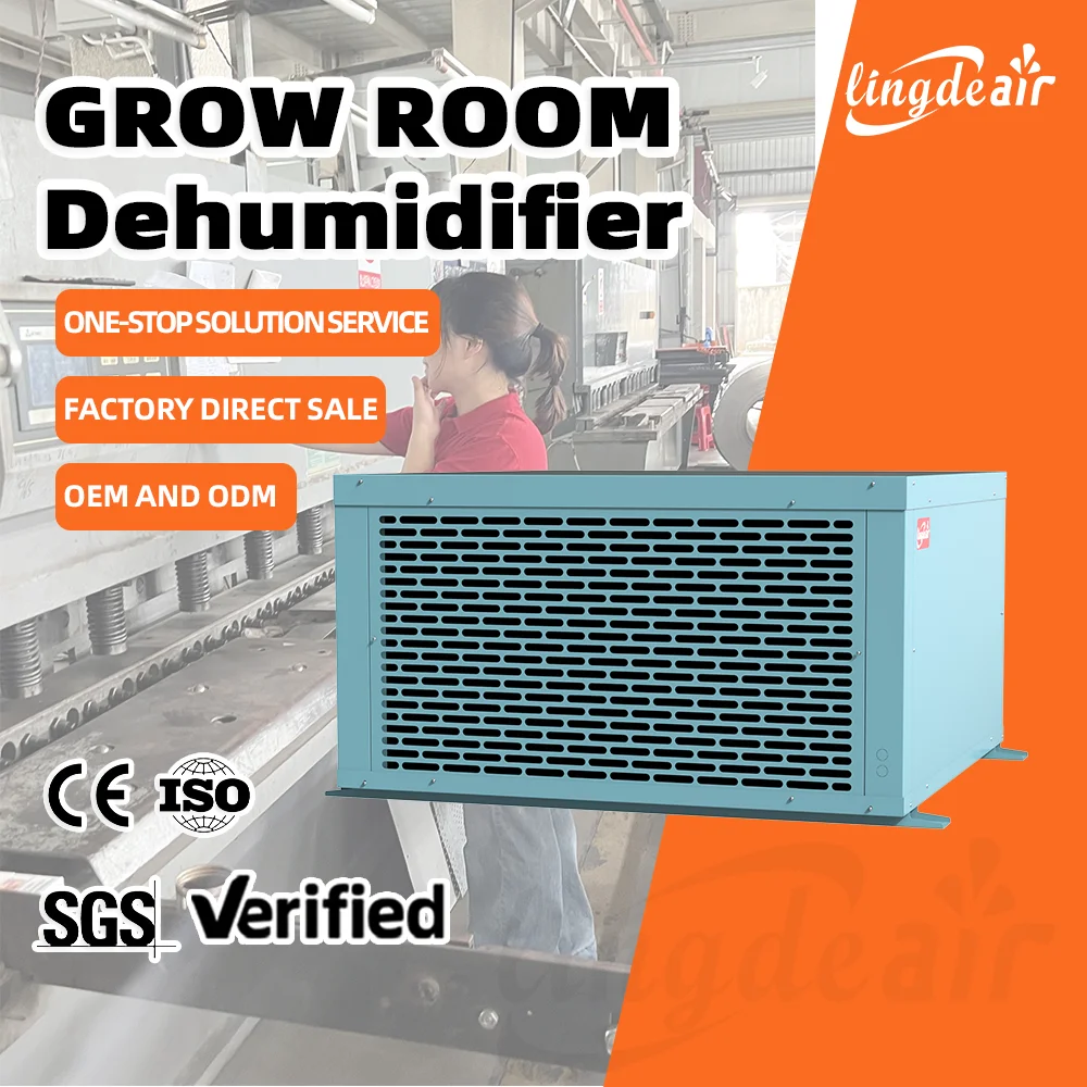 Commercial Desiccant Dehumidifier 368L Large Capacity For Basement, Construction, Farm, Agricultural And Carpet Drying