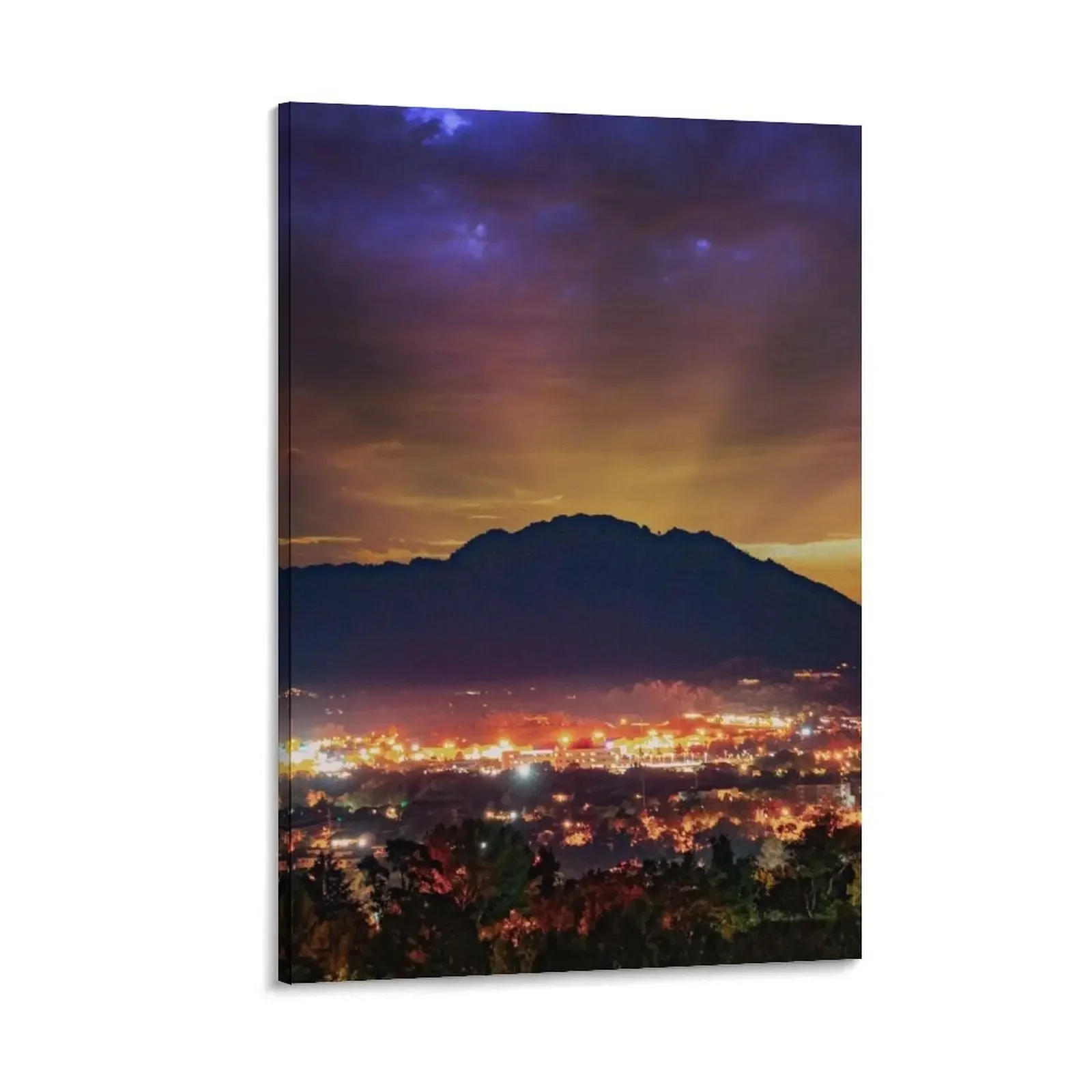

The Protector Canvas Painting bedroom decoration decorative pictures for living room anime poster home decor
