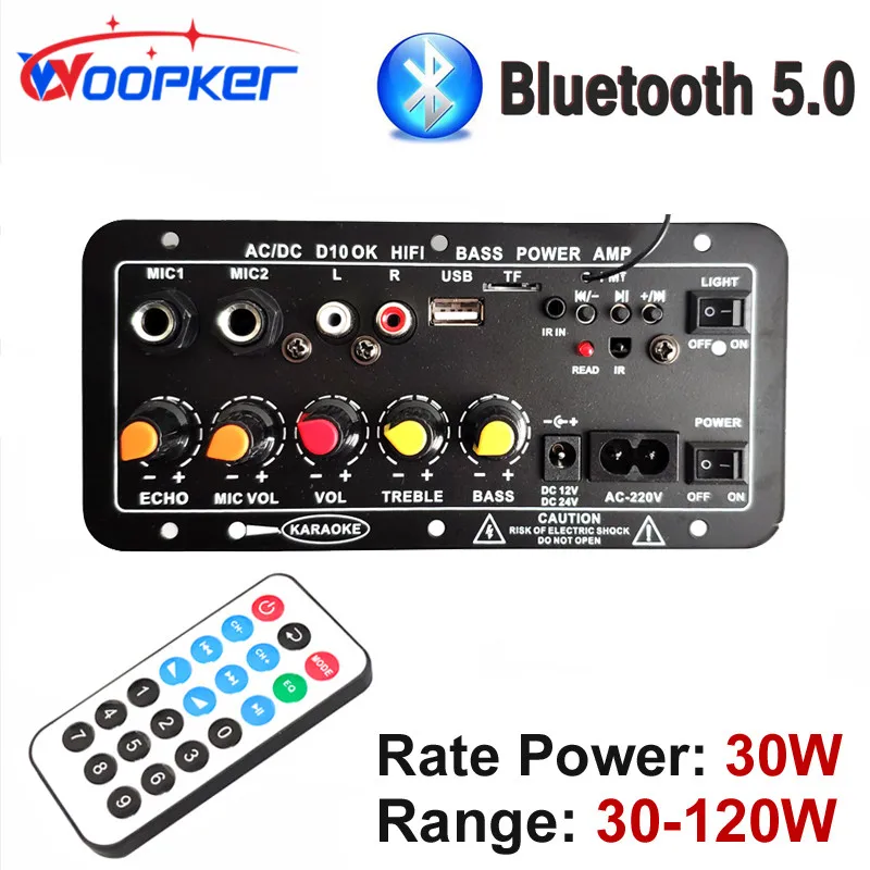 Woopker D10 Bluetooth Audio Amplifier Board for 4 ohms 8-12 inch Speaker 110/220V 120W Subwoofer Dual Microphone AMP Module