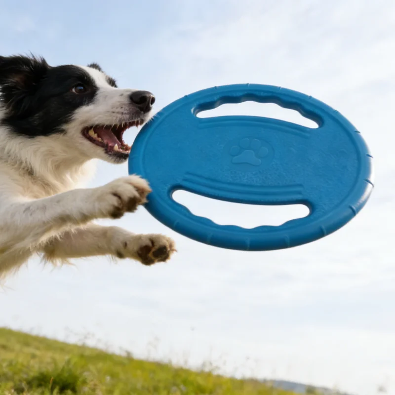 Thumbnail 3 - #47 Latest Dog Fetch Toys Offers