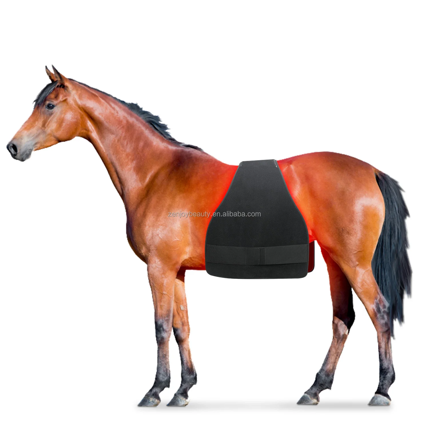 2024 Infrared Red Light Therapy 660nm 850nm Horse Pad Red Horse Blankets Equine Light Therapy Horse Rug For Animal