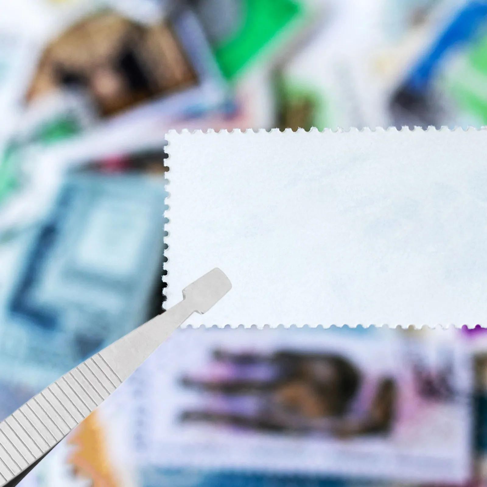 5Pcs Wide Mouth Stamp Tweezers Stainless Steel Lightweight Non-Slip for Stamp Collector Photo Tweezers False Eyelash Applicator