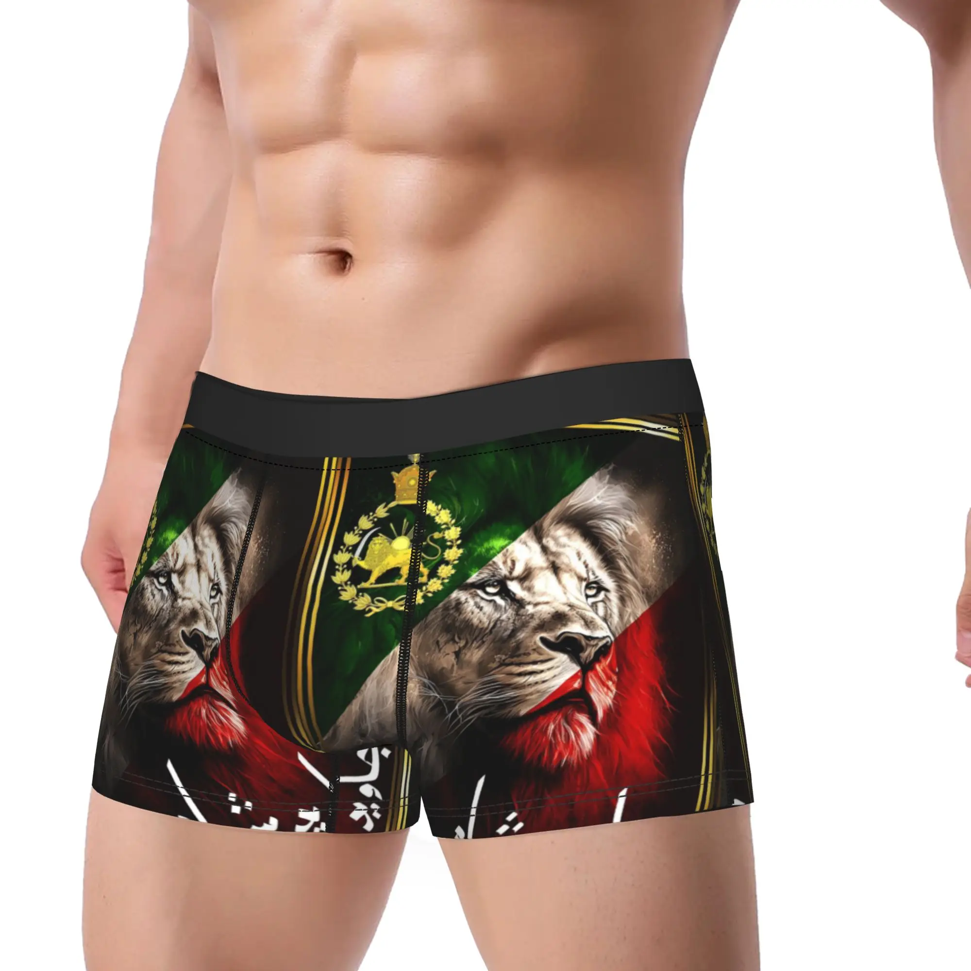 

Man Iran flag lion head with a Pahlavi golden lion Underwear Humor Boxer Briefs Shorts Panties Male Breathable Underpants M-XXL